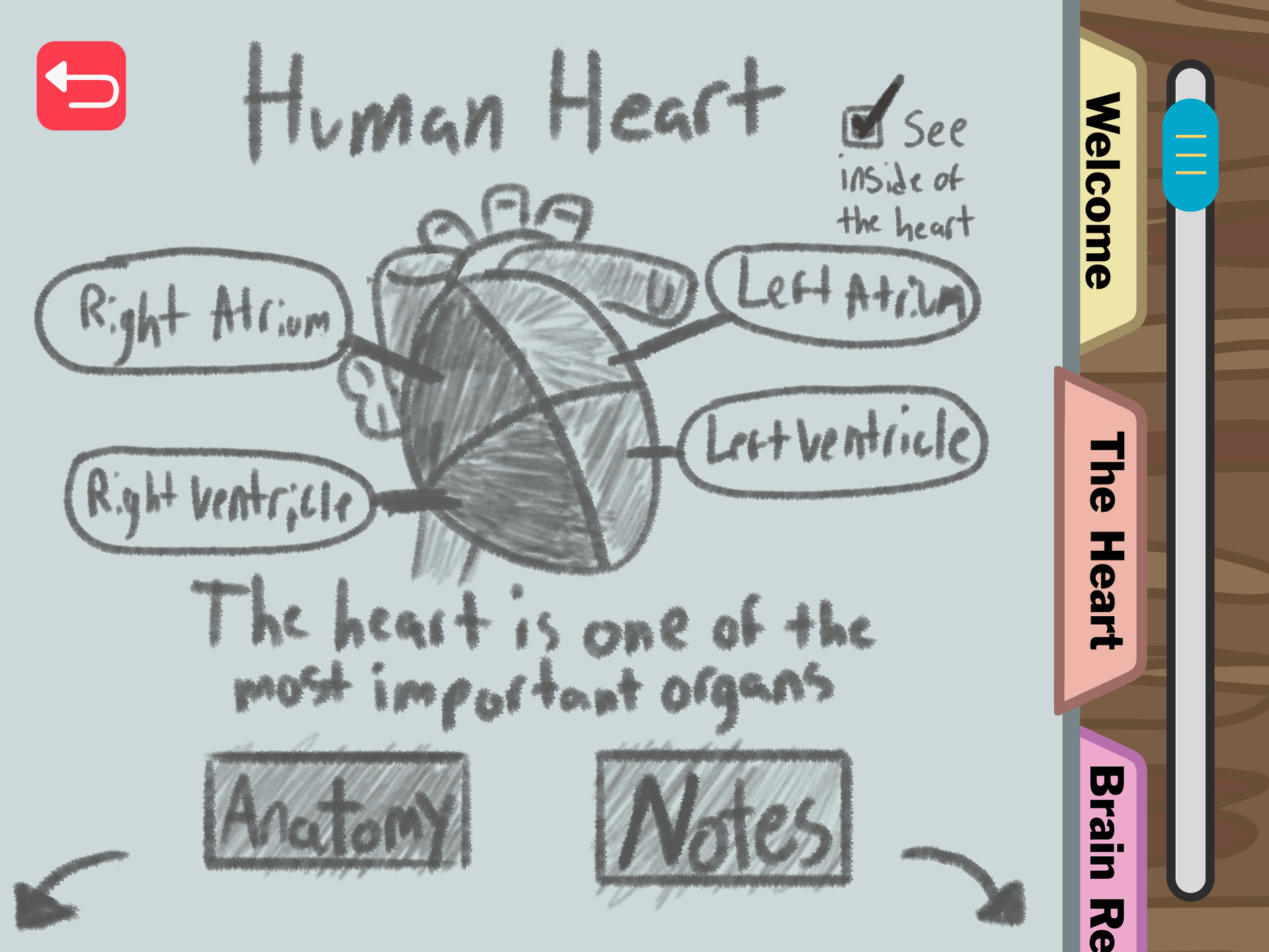 Game Screenshot of the journal